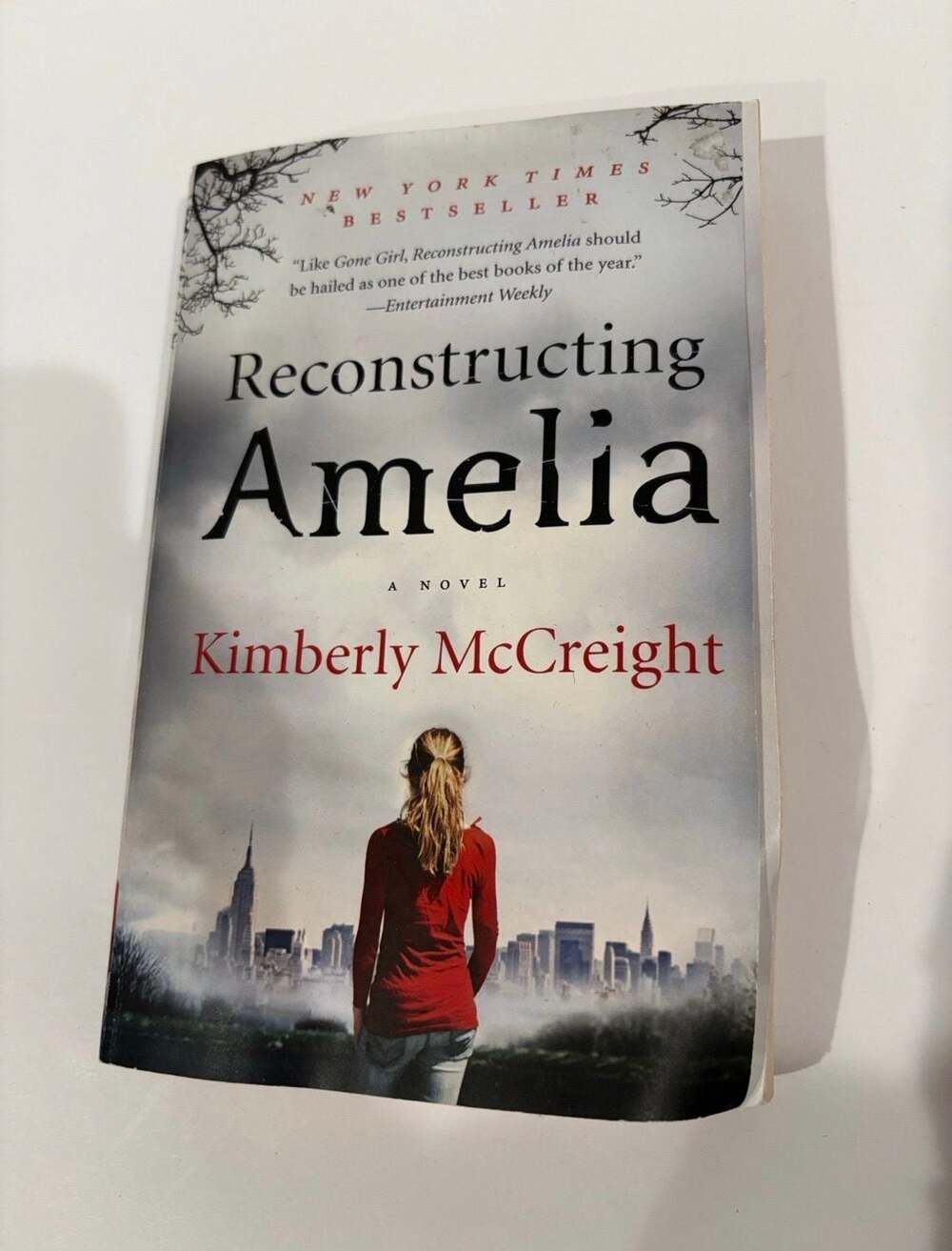 Reconstructing Amelia: A Novel by Kimberly McCreight (Paperback)